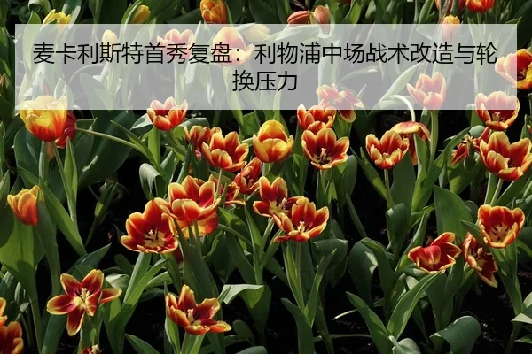 麦卡利斯特首秀复盘：利物浦中场战术改造与轮换压力